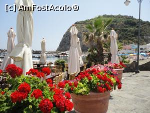 [P20] Sant' Angelo- flori colorate.  » foto by maryka
 - 
<span class="allrVoted glyphicon glyphicon-heart hidden" id="av1096309"></span>
<a class="m-l-10 hidden" id="sv1096309" onclick="voting_Foto_DelVot(,1096309,12624)" role="button">șterge vot <span class="glyphicon glyphicon-remove"></span></a>
<a id="v91096309" class=" c-red"  onclick="voting_Foto_SetVot(1096309)" role="button"><span class="glyphicon glyphicon-heart-empty"></span> <b>LIKE</b> = Votează poza</a> <img class="hidden"  id="f1096309W9" src="/imagini/loader.gif" border="0" /><span class="AjErrMes hidden" id="e1096309ErM"></span>