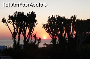 [P04] Apus de soare în Forio, cel mai frumos de pe insulă.  » foto by maryka
 - 
<span class="allrVoted glyphicon glyphicon-heart hidden" id="av1097458"></span>
<a class="m-l-10 hidden" id="sv1097458" onclick="voting_Foto_DelVot(,1097458,12624)" role="button">șterge vot <span class="glyphicon glyphicon-remove"></span></a>
<a id="v91097458" class=" c-red"  onclick="voting_Foto_SetVot(1097458)" role="button"><span class="glyphicon glyphicon-heart-empty"></span> <b>LIKE</b> = Votează poza</a> <img class="hidden"  id="f1097458W9" src="/imagini/loader.gif" border="0" /><span class="AjErrMes hidden" id="e1097458ErM"></span>