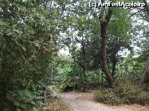 [P48] Gradina publica Pineta Mirtina » foto by balasa violeta
 - 
<span class="allrVoted glyphicon glyphicon-heart hidden" id="av640294"></span>
<a class="m-l-10 hidden" id="sv640294" onclick="voting_Foto_DelVot(,640294,12624)" role="button">șterge vot <span class="glyphicon glyphicon-remove"></span></a>
<a id="v9640294" class=" c-red"  onclick="voting_Foto_SetVot(640294)" role="button"><span class="glyphicon glyphicon-heart-empty"></span> <b>LIKE</b> = Votează poza</a> <img class="hidden"  id="f640294W9" src="/imagini/loader.gif" border="0" /><span class="AjErrMes hidden" id="e640294ErM"></span>