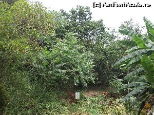 [P49] Gradina publica Pineta Mirtina » foto by balasa violeta
 - 
<span class="allrVoted glyphicon glyphicon-heart hidden" id="av640295"></span>
<a class="m-l-10 hidden" id="sv640295" onclick="voting_Foto_DelVot(,640295,12624)" role="button">șterge vot <span class="glyphicon glyphicon-remove"></span></a>
<a id="v9640295" class=" c-red"  onclick="voting_Foto_SetVot(640295)" role="button"><span class="glyphicon glyphicon-heart-empty"></span> <b>LIKE</b> = Votează poza</a> <img class="hidden"  id="f640295W9" src="/imagini/loader.gif" border="0" /><span class="AjErrMes hidden" id="e640295ErM"></span>