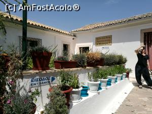 [P28] Mânăstirea Fecioarei Maria; spre muzeu » foto by crismis
 - 
<span class="allrVoted glyphicon glyphicon-heart hidden" id="av909635"></span>
<a class="m-l-10 hidden" id="sv909635" onclick="voting_Foto_DelVot(,909635,12630)" role="button">șterge vot <span class="glyphicon glyphicon-remove"></span></a>
<a id="v9909635" class=" c-red"  onclick="voting_Foto_SetVot(909635)" role="button"><span class="glyphicon glyphicon-heart-empty"></span> <b>LIKE</b> = Votează poza</a> <img class="hidden"  id="f909635W9" src="/imagini/loader.gif" border="0" /><span class="AjErrMes hidden" id="e909635ErM"></span>