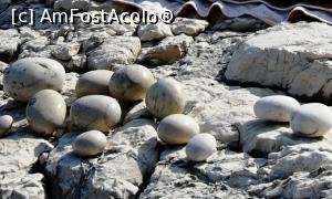 [P13] O parte din membrii formaţiei The Rolling Stones » foto by Lucien
 - 
<span class="allrVoted glyphicon glyphicon-heart hidden" id="av729927"></span>
<a class="m-l-10 hidden" id="sv729927" onclick="voting_Foto_DelVot(,729927,12630)" role="button">șterge vot <span class="glyphicon glyphicon-remove"></span></a>
<a id="v9729927" class=" c-red"  onclick="voting_Foto_SetVot(729927)" role="button"><span class="glyphicon glyphicon-heart-empty"></span> <b>LIKE</b> = Votează poza</a> <img class="hidden"  id="f729927W9" src="/imagini/loader.gif" border="0" /><span class="AjErrMes hidden" id="e729927ErM"></span>