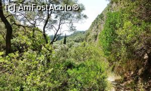 [P24] Coborâm de la Lakones spre Paleokastritsa pe Cărarea Măgarilor (Donkey Path) trecând pe lângă pereţi de stâncă » foto by Lucien
 - 
<span class="allrVoted glyphicon glyphicon-heart hidden" id="av736012"></span>
<a class="m-l-10 hidden" id="sv736012" onclick="voting_Foto_DelVot(,736012,12630)" role="button">șterge vot <span class="glyphicon glyphicon-remove"></span></a>
<a id="v9736012" class=" c-red"  onclick="voting_Foto_SetVot(736012)" role="button"><span class="glyphicon glyphicon-heart-empty"></span> <b>LIKE</b> = Votează poza</a> <img class="hidden"  id="f736012W9" src="/imagini/loader.gif" border="0" /><span class="AjErrMes hidden" id="e736012ErM"></span>