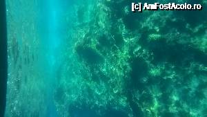 [P19] Imagini surprinse din Yellowe Submarine » foto by AleDia
 - 
<span class="allrVoted glyphicon glyphicon-heart hidden" id="av687114"></span>
<a class="m-l-10 hidden" id="sv687114" onclick="voting_Foto_DelVot(,687114,12630)" role="button">șterge vot <span class="glyphicon glyphicon-remove"></span></a>
<a id="v9687114" class=" c-red"  onclick="voting_Foto_SetVot(687114)" role="button"><span class="glyphicon glyphicon-heart-empty"></span> <b>LIKE</b> = Votează poza</a> <img class="hidden"  id="f687114W9" src="/imagini/loader.gif" border="0" /><span class="AjErrMes hidden" id="e687114ErM"></span>