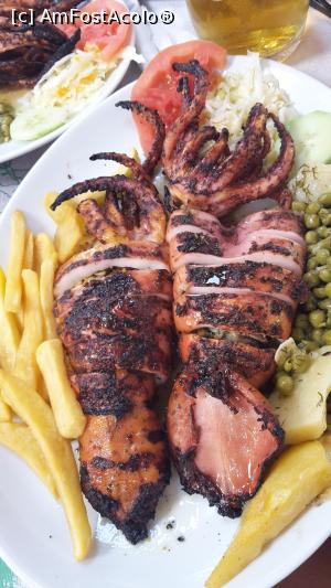 [P23] Calamari umpluti!!! Portie enorma!!!  » foto by gbrladrian
 - 
<span class="allrVoted glyphicon glyphicon-heart hidden" id="av894152"></span>
<a class="m-l-10 hidden" id="sv894152" onclick="voting_Foto_DelVot(,894152,12630)" role="button">șterge vot <span class="glyphicon glyphicon-remove"></span></a>
<a id="v9894152" class=" c-red"  onclick="voting_Foto_SetVot(894152)" role="button"><span class="glyphicon glyphicon-heart-empty"></span> <b>LIKE</b> = Votează poza</a> <img class="hidden"  id="f894152W9" src="/imagini/loader.gif" border="0" /><span class="AjErrMes hidden" id="e894152ErM"></span>