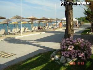 [P10] A fost o zi buna de plajă, doar că marea majoritate prefera piscina.  » foto by hlli
 - 
<span class="allrVoted glyphicon glyphicon-heart hidden" id="av624460"></span>
<a class="m-l-10 hidden" id="sv624460" onclick="voting_Foto_DelVot(,624460,12634)" role="button">șterge vot <span class="glyphicon glyphicon-remove"></span></a>
<a id="v9624460" class=" c-red"  onclick="voting_Foto_SetVot(624460)" role="button"><span class="glyphicon glyphicon-heart-empty"></span> <b>LIKE</b> = Votează poza</a> <img class="hidden"  id="f624460W9" src="/imagini/loader.gif" border="0" /><span class="AjErrMes hidden" id="e624460ErM"></span>
