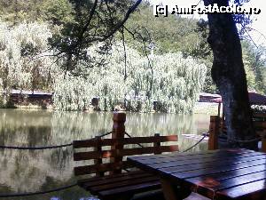 [P02] Terasa unde poti sa savurezi o cafeluta in liniste » foto by geta10
 - 
<span class="allrVoted glyphicon glyphicon-heart hidden" id="av361171"></span>
<a class="m-l-10 hidden" id="sv361171" onclick="voting_Foto_DelVot(,361171,12635)" role="button">șterge vot <span class="glyphicon glyphicon-remove"></span></a>
<a id="v9361171" class=" c-red"  onclick="voting_Foto_SetVot(361171)" role="button"><span class="glyphicon glyphicon-heart-empty"></span> <b>LIKE</b> = Votează poza</a> <img class="hidden"  id="f361171W9" src="/imagini/loader.gif" border="0" /><span class="AjErrMes hidden" id="e361171ErM"></span>