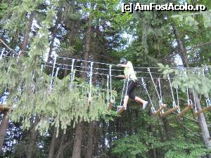 [P03] Jocul numit /Trapezes/ » foto by pepsi70ro
 - 
<span class="allrVoted glyphicon glyphicon-heart hidden" id="av361123"></span>
<a class="m-l-10 hidden" id="sv361123" onclick="voting_Foto_DelVot(,361123,12639)" role="button">șterge vot <span class="glyphicon glyphicon-remove"></span></a>
<a id="v9361123" class=" c-red"  onclick="voting_Foto_SetVot(361123)" role="button"><span class="glyphicon glyphicon-heart-empty"></span> <b>LIKE</b> = Votează poza</a> <img class="hidden"  id="f361123W9" src="/imagini/loader.gif" border="0" /><span class="AjErrMes hidden" id="e361123ErM"></span>