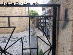 [P22] Mă joc cu pisica prin gardul bisericii Sfanta Maria » foto by mireille
 - 
<span class="allrVoted glyphicon glyphicon-heart hidden" id="av1075166"></span>
<a class="m-l-10 hidden" id="sv1075166" onclick="voting_Foto_DelVot(,1075166,12653)" role="button">șterge vot <span class="glyphicon glyphicon-remove"></span></a>
<a id="v91075166" class=" c-red"  onclick="voting_Foto_SetVot(1075166)" role="button"><span class="glyphicon glyphicon-heart-empty"></span> <b>LIKE</b> = Votează poza</a> <img class="hidden"  id="f1075166W9" src="/imagini/loader.gif" border="0" /><span class="AjErrMes hidden" id="e1075166ErM"></span>