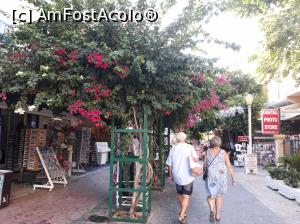 [P43] Nikiforou Mandilara » foto by mireille
 - 
<span class="allrVoted glyphicon glyphicon-heart hidden" id="av1075187"></span>
<a class="m-l-10 hidden" id="sv1075187" onclick="voting_Foto_DelVot(,1075187,12653)" role="button">șterge vot <span class="glyphicon glyphicon-remove"></span></a>
<a id="v91075187" class=" c-red"  onclick="voting_Foto_SetVot(1075187)" role="button"><span class="glyphicon glyphicon-heart-empty"></span> <b>LIKE</b> = Votează poza</a> <img class="hidden"  id="f1075187W9" src="/imagini/loader.gif" border="0" /><span class="AjErrMes hidden" id="e1075187ErM"></span>