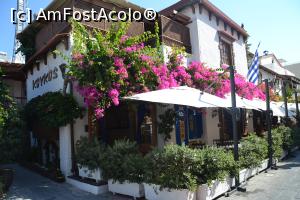 [P17] Prospectand stradutele de la hotel, spre portul Mandraki » foto by Dorina9
 - 
<span class="allrVoted glyphicon glyphicon-heart hidden" id="av1154116"></span>
<a class="m-l-10 hidden" id="sv1154116" onclick="voting_Foto_DelVot(,1154116,12653)" role="button">șterge vot <span class="glyphicon glyphicon-remove"></span></a>
<a id="v91154116" class=" c-red"  onclick="voting_Foto_SetVot(1154116)" role="button"><span class="glyphicon glyphicon-heart-empty"></span> <b>LIKE</b> = Votează poza</a> <img class="hidden"  id="f1154116W9" src="/imagini/loader.gif" border="0" /><span class="AjErrMes hidden" id="e1154116ErM"></span>