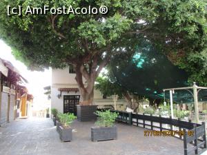 [P33] Rhodos-prin cetate,dimineața...pustiu » foto by ANILU
 - 
<span class="allrVoted glyphicon glyphicon-heart hidden" id="av1193467"></span>
<a class="m-l-10 hidden" id="sv1193467" onclick="voting_Foto_DelVot(,1193467,12653)" role="button">șterge vot <span class="glyphicon glyphicon-remove"></span></a>
<a id="v91193467" class=" c-red"  onclick="voting_Foto_SetVot(1193467)" role="button"><span class="glyphicon glyphicon-heart-empty"></span> <b>LIKE</b> = Votează poza</a> <img class="hidden"  id="f1193467W9" src="/imagini/loader.gif" border="0" /><span class="AjErrMes hidden" id="e1193467ErM"></span>
