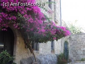 [P13] Orasul Vechi » foto by mogly
 - 
<span class="allrVoted glyphicon glyphicon-heart hidden" id="av1017534"></span>
<a class="m-l-10 hidden" id="sv1017534" onclick="voting_Foto_DelVot(,1017534,12653)" role="button">șterge vot <span class="glyphicon glyphicon-remove"></span></a>
<a id="v91017534" class=" c-red"  onclick="voting_Foto_SetVot(1017534)" role="button"><span class="glyphicon glyphicon-heart-empty"></span> <b>LIKE</b> = Votează poza</a> <img class="hidden"  id="f1017534W9" src="/imagini/loader.gif" border="0" /><span class="AjErrMes hidden" id="e1017534ErM"></span>