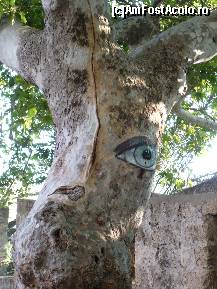 [P09] artistii locali au adus un plus de veselie la intrarea pe una din porti.Rhodos, orasul vechi. » foto by ARA
 - 
<span class="allrVoted glyphicon glyphicon-heart hidden" id="av94161"></span>
<a class="m-l-10 hidden" id="sv94161" onclick="voting_Foto_DelVot(,94161,12653)" role="button">șterge vot <span class="glyphicon glyphicon-remove"></span></a>
<a id="v994161" class=" c-red"  onclick="voting_Foto_SetVot(94161)" role="button"><span class="glyphicon glyphicon-heart-empty"></span> <b>LIKE</b> = Votează poza</a> <img class="hidden"  id="f94161W9" src="/imagini/loader.gif" border="0" /><span class="AjErrMes hidden" id="e94161ErM"></span>
