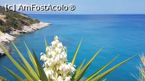 [P28] Plaja Makris Gialos, Zakynthos » foto by vlado2
 - 
<span class="allrVoted glyphicon glyphicon-heart hidden" id="av1520012"></span>
<a class="m-l-10 hidden" id="sv1520012" onclick="voting_Foto_DelVot(,1520012,12677)" role="button">șterge vot <span class="glyphicon glyphicon-remove"></span></a>
<a id="v91520012" class=" c-red"  onclick="voting_Foto_SetVot(1520012)" role="button"><span class="glyphicon glyphicon-heart-empty"></span> <b>LIKE</b> = Votează poza</a> <img class="hidden"  id="f1520012W9" src="/imagini/loader.gif" border="0" /><span class="AjErrMes hidden" id="e1520012ErM"></span>