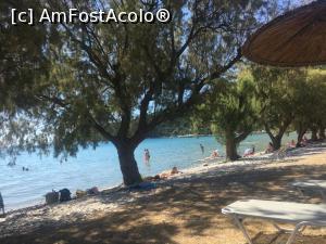 [P11] La umbră, pe plaja din Keri » foto by Artiglio
 - 
<span class="allrVoted glyphicon glyphicon-heart hidden" id="av1231106"></span>
<a class="m-l-10 hidden" id="sv1231106" onclick="voting_Foto_DelVot(,1231106,12677)" role="button">șterge vot <span class="glyphicon glyphicon-remove"></span></a>
<a id="v91231106" class=" c-red"  onclick="voting_Foto_SetVot(1231106)" role="button"><span class="glyphicon glyphicon-heart-empty"></span> <b>LIKE</b> = Votează poza</a> <img class="hidden"  id="f1231106W9" src="/imagini/loader.gif" border="0" /><span class="AjErrMes hidden" id="e1231106ErM"></span>