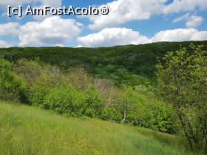 [P11] Atmosferă de primăvară pe traseul Cozluk. » foto by Floryn81
 - 
<span class="allrVoted glyphicon glyphicon-heart hidden" id="av1224642"></span>
<a class="m-l-10 hidden" id="sv1224642" onclick="voting_Foto_DelVot(,1224642,12680)" role="button">șterge vot <span class="glyphicon glyphicon-remove"></span></a>
<a id="v91224642" class=" c-red"  onclick="voting_Foto_SetVot(1224642)" role="button"><span class="glyphicon glyphicon-heart-empty"></span> <b>LIKE</b> = Votează poza</a> <img class="hidden"  id="f1224642W9" src="/imagini/loader.gif" border="0" /><span class="AjErrMes hidden" id="e1224642ErM"></span>