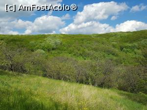 [P15] La pas pe traseul Cozluk, bucurându-ne de frumusețea naturii. » foto by Floryn81
 - 
<span class="allrVoted glyphicon glyphicon-heart hidden" id="av1224646"></span>
<a class="m-l-10 hidden" id="sv1224646" onclick="voting_Foto_DelVot(,1224646,12680)" role="button">șterge vot <span class="glyphicon glyphicon-remove"></span></a>
<a id="v91224646" class=" c-red"  onclick="voting_Foto_SetVot(1224646)" role="button"><span class="glyphicon glyphicon-heart-empty"></span> <b>LIKE</b> = Votează poza</a> <img class="hidden"  id="f1224646W9" src="/imagini/loader.gif" border="0" /><span class="AjErrMes hidden" id="e1224646ErM"></span>