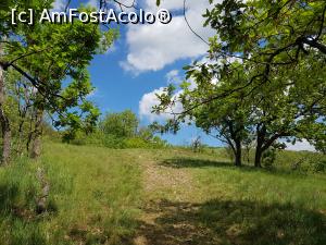 [P19] Atmosferă de primăvară în Munții Măcinului. » foto by Floryn81
 - 
<span class="allrVoted glyphicon glyphicon-heart hidden" id="av1224650"></span>
<a class="m-l-10 hidden" id="sv1224650" onclick="voting_Foto_DelVot(,1224650,12680)" role="button">șterge vot <span class="glyphicon glyphicon-remove"></span></a>
<a id="v91224650" class=" c-red"  onclick="voting_Foto_SetVot(1224650)" role="button"><span class="glyphicon glyphicon-heart-empty"></span> <b>LIKE</b> = Votează poza</a> <img class="hidden"  id="f1224650W9" src="/imagini/loader.gif" border="0" /><span class="AjErrMes hidden" id="e1224650ErM"></span>