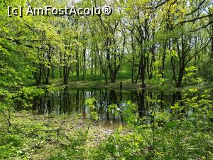 [P27] Am trecut prin apropierea unui lac frumos. » foto by Floryn81
 - 
<span class="allrVoted glyphicon glyphicon-heart hidden" id="av1224658"></span>
<a class="m-l-10 hidden" id="sv1224658" onclick="voting_Foto_DelVot(,1224658,12680)" role="button">șterge vot <span class="glyphicon glyphicon-remove"></span></a>
<a id="v91224658" class=" c-red"  onclick="voting_Foto_SetVot(1224658)" role="button"><span class="glyphicon glyphicon-heart-empty"></span> <b>LIKE</b> = Votează poza</a> <img class="hidden"  id="f1224658W9" src="/imagini/loader.gif" border="0" /><span class="AjErrMes hidden" id="e1224658ErM"></span>