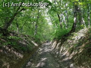 [P29] Am mers apoi pe un drum forestier. » foto by Floryn81
 - 
<span class="allrVoted glyphicon glyphicon-heart hidden" id="av1224660"></span>
<a class="m-l-10 hidden" id="sv1224660" onclick="voting_Foto_DelVot(,1224660,12680)" role="button">șterge vot <span class="glyphicon glyphicon-remove"></span></a>
<a id="v91224660" class=" c-red"  onclick="voting_Foto_SetVot(1224660)" role="button"><span class="glyphicon glyphicon-heart-empty"></span> <b>LIKE</b> = Votează poza</a> <img class="hidden"  id="f1224660W9" src="/imagini/loader.gif" border="0" /><span class="AjErrMes hidden" id="e1224660ErM"></span>