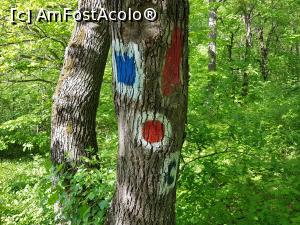 [P30] Marcaje întâlnite pe traseul Cozluk. » foto by Floryn81
 - 
<span class="allrVoted glyphicon glyphicon-heart hidden" id="av1224661"></span>
<a class="m-l-10 hidden" id="sv1224661" onclick="voting_Foto_DelVot(,1224661,12680)" role="button">șterge vot <span class="glyphicon glyphicon-remove"></span></a>
<a id="v91224661" class=" c-red"  onclick="voting_Foto_SetVot(1224661)" role="button"><span class="glyphicon glyphicon-heart-empty"></span> <b>LIKE</b> = Votează poza</a> <img class="hidden"  id="f1224661W9" src="/imagini/loader.gif" border="0" /><span class="AjErrMes hidden" id="e1224661ErM"></span>