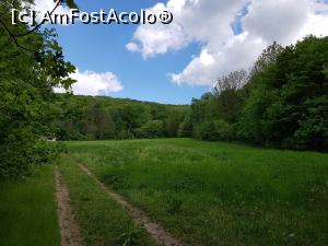 [P07] Locul de campare de pe traseul Cozluk. La capătul acestei poienițe, traseul marcat cotește spre dreapta, pe după ruinele unui canton. » foto by Floryn81
 - 
<span class="allrVoted glyphicon glyphicon-heart hidden" id="av1224638"></span>
<a class="m-l-10 hidden" id="sv1224638" onclick="voting_Foto_DelVot(,1224638,12680)" role="button">șterge vot <span class="glyphicon glyphicon-remove"></span></a>
<a id="v91224638" class=" c-red"  onclick="voting_Foto_SetVot(1224638)" role="button"><span class="glyphicon glyphicon-heart-empty"></span> <b>LIKE</b> = Votează poza</a> <img class="hidden"  id="f1224638W9" src="/imagini/loader.gif" border="0" /><span class="AjErrMes hidden" id="e1224638ErM"></span>