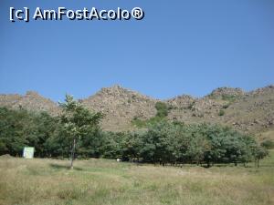 [P04] În păduricea din faţă se află zona de campare de la Fântâna de Leac. Sunt amplasate acolo câteva panouri informative.  » foto by Floryn81
 - 
<span class="allrVoted glyphicon glyphicon-heart hidden" id="av910873"></span>
<a class="m-l-10 hidden" id="sv910873" onclick="voting_Foto_DelVot(,910873,12680)" role="button">șterge vot <span class="glyphicon glyphicon-remove"></span></a>
<a id="v9910873" class=" c-red"  onclick="voting_Foto_SetVot(910873)" role="button"><span class="glyphicon glyphicon-heart-empty"></span> <b>LIKE</b> = Votează poza</a> <img class="hidden"  id="f910873W9" src="/imagini/loader.gif" border="0" /><span class="AjErrMes hidden" id="e910873ErM"></span>
