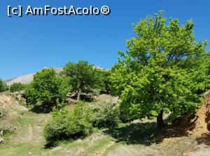 [P14] Mai 2019 - Am pornit în drumeție către vârful Țuțuiatu.  » foto by Floryn81
 - 
<span class="allrVoted glyphicon glyphicon-heart hidden" id="av1068758"></span>
<a class="m-l-10 hidden" id="sv1068758" onclick="voting_Foto_DelVot(,1068758,12680)" role="button">șterge vot <span class="glyphicon glyphicon-remove"></span></a>
<a id="v91068758" class=" c-red"  onclick="voting_Foto_SetVot(1068758)" role="button"><span class="glyphicon glyphicon-heart-empty"></span> <b>LIKE</b> = Votează poza</a> <img class="hidden"  id="f1068758W9" src="/imagini/loader.gif" border="0" /><span class="AjErrMes hidden" id="e1068758ErM"></span>