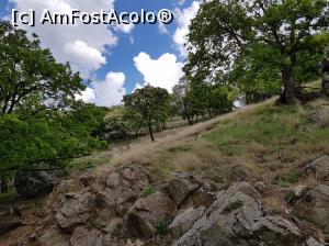 [P26] La coborârea de pe Țuțuiatu începuseră să se adune norii.  » foto by Floryn81
 - 
<span class="allrVoted glyphicon glyphicon-heart hidden" id="av1068770"></span>
<a class="m-l-10 hidden" id="sv1068770" onclick="voting_Foto_DelVot(,1068770,12680)" role="button">șterge vot <span class="glyphicon glyphicon-remove"></span></a>
<a id="v91068770" class=" c-red"  onclick="voting_Foto_SetVot(1068770)" role="button"><span class="glyphicon glyphicon-heart-empty"></span> <b>LIKE</b> = Votează poza</a> <img class="hidden"  id="f1068770W9" src="/imagini/loader.gif" border="0" /><span class="AjErrMes hidden" id="e1068770ErM"></span>