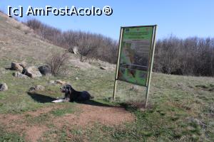 [P18] Munții Măcin, Traseul Culmea Pricopanului, Un panou cu explicații pe drumul ce merge la Vârful Caramalău » foto by mprofeanu
 - 
<span class="allrVoted glyphicon glyphicon-heart hidden" id="av1222011"></span>
<a class="m-l-10 hidden" id="sv1222011" onclick="voting_Foto_DelVot(,1222011,12680)" role="button">șterge vot <span class="glyphicon glyphicon-remove"></span></a>
<a id="v91222011" class=" c-red"  onclick="voting_Foto_SetVot(1222011)" role="button"><span class="glyphicon glyphicon-heart-empty"></span> <b>LIKE</b> = Votează poza</a> <img class="hidden"  id="f1222011W9" src="/imagini/loader.gif" border="0" /><span class="AjErrMes hidden" id="e1222011ErM"></span>