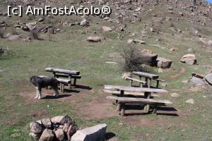 [P32] Munții Măcin, Traseul Culmea Pricopanului, Șaua Șelaru, Loc de popas » foto by mprofeanu
 - 
<span class="allrVoted glyphicon glyphicon-heart hidden" id="av1222025"></span>
<a class="m-l-10 hidden" id="sv1222025" onclick="voting_Foto_DelVot(,1222025,12680)" role="button">șterge vot <span class="glyphicon glyphicon-remove"></span></a>
<a id="v91222025" class=" c-red"  onclick="voting_Foto_SetVot(1222025)" role="button"><span class="glyphicon glyphicon-heart-empty"></span> <b>LIKE</b> = Votează poza</a> <img class="hidden"  id="f1222025W9" src="/imagini/loader.gif" border="0" /><span class="AjErrMes hidden" id="e1222025ErM"></span>