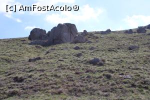 [P34] Munții Măcin, Traseul Culmea Pricopanului, Urcăm spre culme » foto by mprofeanu
 - 
<span class="allrVoted glyphicon glyphicon-heart hidden" id="av1222027"></span>
<a class="m-l-10 hidden" id="sv1222027" onclick="voting_Foto_DelVot(,1222027,12680)" role="button">șterge vot <span class="glyphicon glyphicon-remove"></span></a>
<a id="v91222027" class=" c-red"  onclick="voting_Foto_SetVot(1222027)" role="button"><span class="glyphicon glyphicon-heart-empty"></span> <b>LIKE</b> = Votează poza</a> <img class="hidden"  id="f1222027W9" src="/imagini/loader.gif" border="0" /><span class="AjErrMes hidden" id="e1222027ErM"></span>