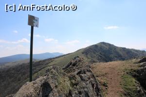 [P44] Munții Măcin, Traseul Culmea Pricopanului, Am ajuns pe Vârful Sulucu Mic » foto by mprofeanu
 - 
<span class="allrVoted glyphicon glyphicon-heart hidden" id="av1222037"></span>
<a class="m-l-10 hidden" id="sv1222037" onclick="voting_Foto_DelVot(,1222037,12680)" role="button">șterge vot <span class="glyphicon glyphicon-remove"></span></a>
<a id="v91222037" class=" c-red"  onclick="voting_Foto_SetVot(1222037)" role="button"><span class="glyphicon glyphicon-heart-empty"></span> <b>LIKE</b> = Votează poza</a> <img class="hidden"  id="f1222037W9" src="/imagini/loader.gif" border="0" /><span class="AjErrMes hidden" id="e1222037ErM"></span>