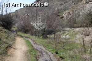 [P63] Munții Măcin, Poteca inundată de apă pe care am coborât de pe Traseul Culmea Pricopanului » foto by mprofeanu
 - 
<span class="allrVoted glyphicon glyphicon-heart hidden" id="av1222056"></span>
<a class="m-l-10 hidden" id="sv1222056" onclick="voting_Foto_DelVot(,1222056,12680)" role="button">șterge vot <span class="glyphicon glyphicon-remove"></span></a>
<a id="v91222056" class=" c-red"  onclick="voting_Foto_SetVot(1222056)" role="button"><span class="glyphicon glyphicon-heart-empty"></span> <b>LIKE</b> = Votează poza</a> <img class="hidden"  id="f1222056W9" src="/imagini/loader.gif" border="0" /><span class="AjErrMes hidden" id="e1222056ErM"></span>