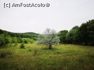 [P34] Poienița de la capătul pădurii » foto by crismis
 - 
<span class="allrVoted glyphicon glyphicon-heart hidden" id="av1163608"></span>
<a class="m-l-10 hidden" id="sv1163608" onclick="voting_Foto_DelVot(,1163608,12680)" role="button">șterge vot <span class="glyphicon glyphicon-remove"></span></a>
<a id="v91163608" class=" c-red"  onclick="voting_Foto_SetVot(1163608)" role="button"><span class="glyphicon glyphicon-heart-empty"></span> <b>LIKE</b> = Votează poza</a> <img class="hidden"  id="f1163608W9" src="/imagini/loader.gif" border="0" /><span class="AjErrMes hidden" id="e1163608ErM"></span>