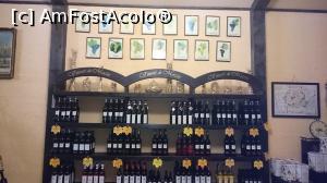 [P18] Crama Dobrogeana - expozitia de vinuri de unde am cumparat si noi. Deasupra raftului, soiurile de struguri din care isi fac vinurile.  » foto by Aurici
 - 
<span class="allrVoted glyphicon glyphicon-heart hidden" id="av854334"></span>
<a class="m-l-10 hidden" id="sv854334" onclick="voting_Foto_DelVot(,854334,12680)" role="button">șterge vot <span class="glyphicon glyphicon-remove"></span></a>
<a id="v9854334" class=" c-red"  onclick="voting_Foto_SetVot(854334)" role="button"><span class="glyphicon glyphicon-heart-empty"></span> <b>LIKE</b> = Votează poza</a> <img class="hidden"  id="f854334W9" src="/imagini/loader.gif" border="0" /><span class="AjErrMes hidden" id="e854334ErM"></span>