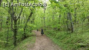[P33] Cicloturismul e la el acasa in Muntii Macinului.  » foto by Aurici
 - 
<span class="allrVoted glyphicon glyphicon-heart hidden" id="av854360"></span>
<a class="m-l-10 hidden" id="sv854360" onclick="voting_Foto_DelVot(,854360,12680)" role="button">șterge vot <span class="glyphicon glyphicon-remove"></span></a>
<a id="v9854360" class=" c-red"  onclick="voting_Foto_SetVot(854360)" role="button"><span class="glyphicon glyphicon-heart-empty"></span> <b>LIKE</b> = Votează poza</a> <img class="hidden"  id="f854360W9" src="/imagini/loader.gif" border="0" /><span class="AjErrMes hidden" id="e854360ErM"></span>