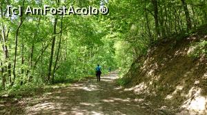 [P46] Si pe Valea Fagilor ai parte de o plimbare foarte frumoasa.  » foto by Aurici
 - 
<span class="allrVoted glyphicon glyphicon-heart hidden" id="av854373"></span>
<a class="m-l-10 hidden" id="sv854373" onclick="voting_Foto_DelVot(,854373,12680)" role="button">șterge vot <span class="glyphicon glyphicon-remove"></span></a>
<a id="v9854373" class=" c-red"  onclick="voting_Foto_SetVot(854373)" role="button"><span class="glyphicon glyphicon-heart-empty"></span> <b>LIKE</b> = Votează poza</a> <img class="hidden"  id="f854373W9" src="/imagini/loader.gif" border="0" /><span class="AjErrMes hidden" id="e854373ErM"></span>