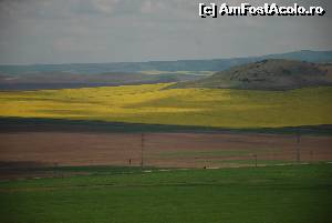 [P09] panorama vazuta de pe culmea de langa lacul Iacobdeal - cu galben, lanurile de rapita » foto by Chloe
 - 
<span class="allrVoted glyphicon glyphicon-heart hidden" id="av615078"></span>
<a class="m-l-10 hidden" id="sv615078" onclick="voting_Foto_DelVot(,615078,12680)" role="button">șterge vot <span class="glyphicon glyphicon-remove"></span></a>
<a id="v9615078" class=" c-red"  onclick="voting_Foto_SetVot(615078)" role="button"><span class="glyphicon glyphicon-heart-empty"></span> <b>LIKE</b> = Votează poza</a> <img class="hidden"  id="f615078W9" src="/imagini/loader.gif" border="0" /><span class="AjErrMes hidden" id="e615078ErM"></span>