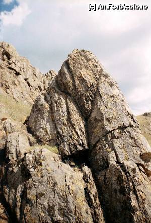 [P10] Urcând pe culmea Pricopanului, întâlneşti stânci granitice impresionante, mărturie a orogenezei hercinice...  » foto by Neptunus
 - 
<span class="allrVoted glyphicon glyphicon-heart hidden" id="av475613"></span>
<a class="m-l-10 hidden" id="sv475613" onclick="voting_Foto_DelVot(,475613,12680)" role="button">șterge vot <span class="glyphicon glyphicon-remove"></span></a>
<a id="v9475613" class=" c-red"  onclick="voting_Foto_SetVot(475613)" role="button"><span class="glyphicon glyphicon-heart-empty"></span> <b>LIKE</b> = Votează poza</a> <img class="hidden"  id="f475613W9" src="/imagini/loader.gif" border="0" /><span class="AjErrMes hidden" id="e475613ErM"></span>