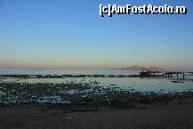 [P03]  -- <small>// FĂRĂ DESCRIERE</small> » foto by parulea
 - 
<span class="allrVoted glyphicon glyphicon-heart hidden" id="av363557"></span>
<a class="m-l-10 hidden" id="sv363557" onclick="voting_Foto_DelVot(,363557,12695)" role="button">șterge vot <span class="glyphicon glyphicon-remove"></span></a>
<a id="v9363557" class=" c-red"  onclick="voting_Foto_SetVot(363557)" role="button"><span class="glyphicon glyphicon-heart-empty"></span> <b>LIKE</b> = Votează poza</a> <img class="hidden"  id="f363557W9" src="/imagini/loader.gif" border="0" /><span class="AjErrMes hidden" id="e363557ErM"></span>