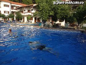 [P04] Piscina si apartamentele (locatia noastra era jos, in dreapta, dupa copaci)  » foto by Silvana5
 - 
<span class="allrVoted glyphicon glyphicon-heart hidden" id="av370178"></span>
<a class="m-l-10 hidden" id="sv370178" onclick="voting_Foto_DelVot(,370178,12710)" role="button">șterge vot <span class="glyphicon glyphicon-remove"></span></a>
<a id="v9370178" class=" c-red"  onclick="voting_Foto_SetVot(370178)" role="button"><span class="glyphicon glyphicon-heart-empty"></span> <b>LIKE</b> = Votează poza</a> <img class="hidden"  id="f370178W9" src="/imagini/loader.gif" border="0" /><span class="AjErrMes hidden" id="e370178ErM"></span>