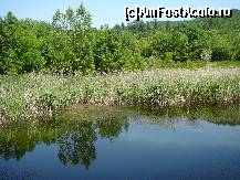 [P02] Lacul ce l-am gasit langa drum » foto by Claudiu U.
 - 
<span class="allrVoted glyphicon glyphicon-heart hidden" id="av229147"></span>
<a class="m-l-10 hidden" id="sv229147" onclick="voting_Foto_DelVot(,229147,12715)" role="button">șterge vot <span class="glyphicon glyphicon-remove"></span></a>
<a id="v9229147" class=" c-red"  onclick="voting_Foto_SetVot(229147)" role="button"><span class="glyphicon glyphicon-heart-empty"></span> <b>LIKE</b> = Votează poza</a> <img class="hidden"  id="f229147W9" src="/imagini/loader.gif" border="0" /><span class="AjErrMes hidden" id="e229147ErM"></span>