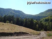 [P53] În depărtare rămâne Mănăstirea Găvanu, ascunsă după perdeaua de pini.  » foto by Floryn81
 - 
<span class="allrVoted glyphicon glyphicon-heart hidden" id="av382927"></span>
<a class="m-l-10 hidden" id="sv382927" onclick="voting_Foto_DelVot(,382927,12715)" role="button">șterge vot <span class="glyphicon glyphicon-remove"></span></a>
<a id="v9382927" class=" c-red"  onclick="voting_Foto_SetVot(382927)" role="button"><span class="glyphicon glyphicon-heart-empty"></span> <b>LIKE</b> = Votează poza</a> <img class="hidden"  id="f382927W9" src="/imagini/loader.gif" border="0" /><span class="AjErrMes hidden" id="e382927ErM"></span>