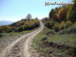 [P04] Mănăstirea Cârnu și împrejurimile sale / Drumul devine tot mai dificil, norocul nostru că nu a plouat în ultima perioadă.  » foto by Floryn81
 - 
<span class="allrVoted glyphicon glyphicon-heart hidden" id="av410734"></span>
<a class="m-l-10 hidden" id="sv410734" onclick="voting_Foto_DelVot(,410734,12715)" role="button">șterge vot <span class="glyphicon glyphicon-remove"></span></a>
<a id="v9410734" class=" c-red"  onclick="voting_Foto_SetVot(410734)" role="button"><span class="glyphicon glyphicon-heart-empty"></span> <b>LIKE</b> = Votează poza</a> <img class="hidden"  id="f410734W9" src="/imagini/loader.gif" border="0" /><span class="AjErrMes hidden" id="e410734ErM"></span>