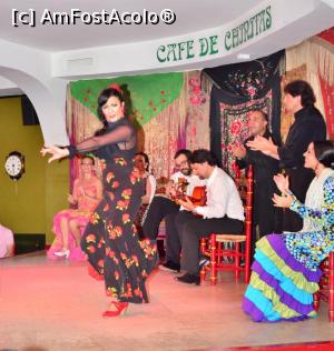 [P25] Cafe De Chinitas, tablao flamenco de excepție în Madrid » foto by Dragoș_MD
 - 
<span class="allrVoted glyphicon glyphicon-heart hidden" id="av750384"></span>
<a class="m-l-10 hidden" id="sv750384" onclick="voting_Foto_DelVot(,750384,12730)" role="button">șterge vot <span class="glyphicon glyphicon-remove"></span></a>
<a id="v9750384" class=" c-red"  onclick="voting_Foto_SetVot(750384)" role="button"><span class="glyphicon glyphicon-heart-empty"></span> <b>LIKE</b> = Votează poza</a> <img class="hidden"  id="f750384W9" src="/imagini/loader.gif" border="0" /><span class="AjErrMes hidden" id="e750384ErM"></span>
