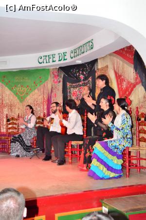 [P32] Cafe De Chinitas, tablao flamenco de excepție în Madrid » foto by Dragoș_MD
 - 
<span class="allrVoted glyphicon glyphicon-heart hidden" id="av750395"></span>
<a class="m-l-10 hidden" id="sv750395" onclick="voting_Foto_DelVot(,750395,12730)" role="button">șterge vot <span class="glyphicon glyphicon-remove"></span></a>
<a id="v9750395" class=" c-red"  onclick="voting_Foto_SetVot(750395)" role="button"><span class="glyphicon glyphicon-heart-empty"></span> <b>LIKE</b> = Votează poza</a> <img class="hidden"  id="f750395W9" src="/imagini/loader.gif" border="0" /><span class="AjErrMes hidden" id="e750395ErM"></span>