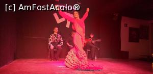 [P25] Las Tablas, spectacol de flamenco » foto by irinad
 - 
<span class="allrVoted glyphicon glyphicon-heart hidden" id="av1280978"></span>
<a class="m-l-10 hidden" id="sv1280978" onclick="voting_Foto_DelVot(,1280978,12730)" role="button">șterge vot <span class="glyphicon glyphicon-remove"></span></a>
<a id="v91280978" class=" c-red"  onclick="voting_Foto_SetVot(1280978)" role="button"><span class="glyphicon glyphicon-heart-empty"></span> <b>LIKE</b> = Votează poza</a> <img class="hidden"  id="f1280978W9" src="/imagini/loader.gif" border="0" /><span class="AjErrMes hidden" id="e1280978ErM"></span>