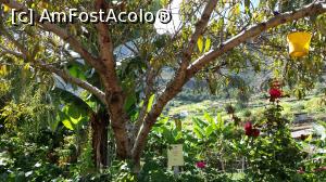[P56] O zi şi o noapte în La Gomera - Molino de Gofio » foto by nicole33
 - 
<span class="allrVoted glyphicon glyphicon-heart hidden" id="av846621"></span>
<a class="m-l-10 hidden" id="sv846621" onclick="voting_Foto_DelVot(,846621,12735)" role="button">șterge vot <span class="glyphicon glyphicon-remove"></span></a>
<a id="v9846621" class=" c-red"  onclick="voting_Foto_SetVot(846621)" role="button"><span class="glyphicon glyphicon-heart-empty"></span> <b>LIKE</b> = Votează poza</a> <img class="hidden"  id="f846621W9" src="/imagini/loader.gif" border="0" /><span class="AjErrMes hidden" id="e846621ErM"></span>